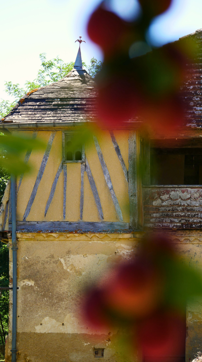 photo22