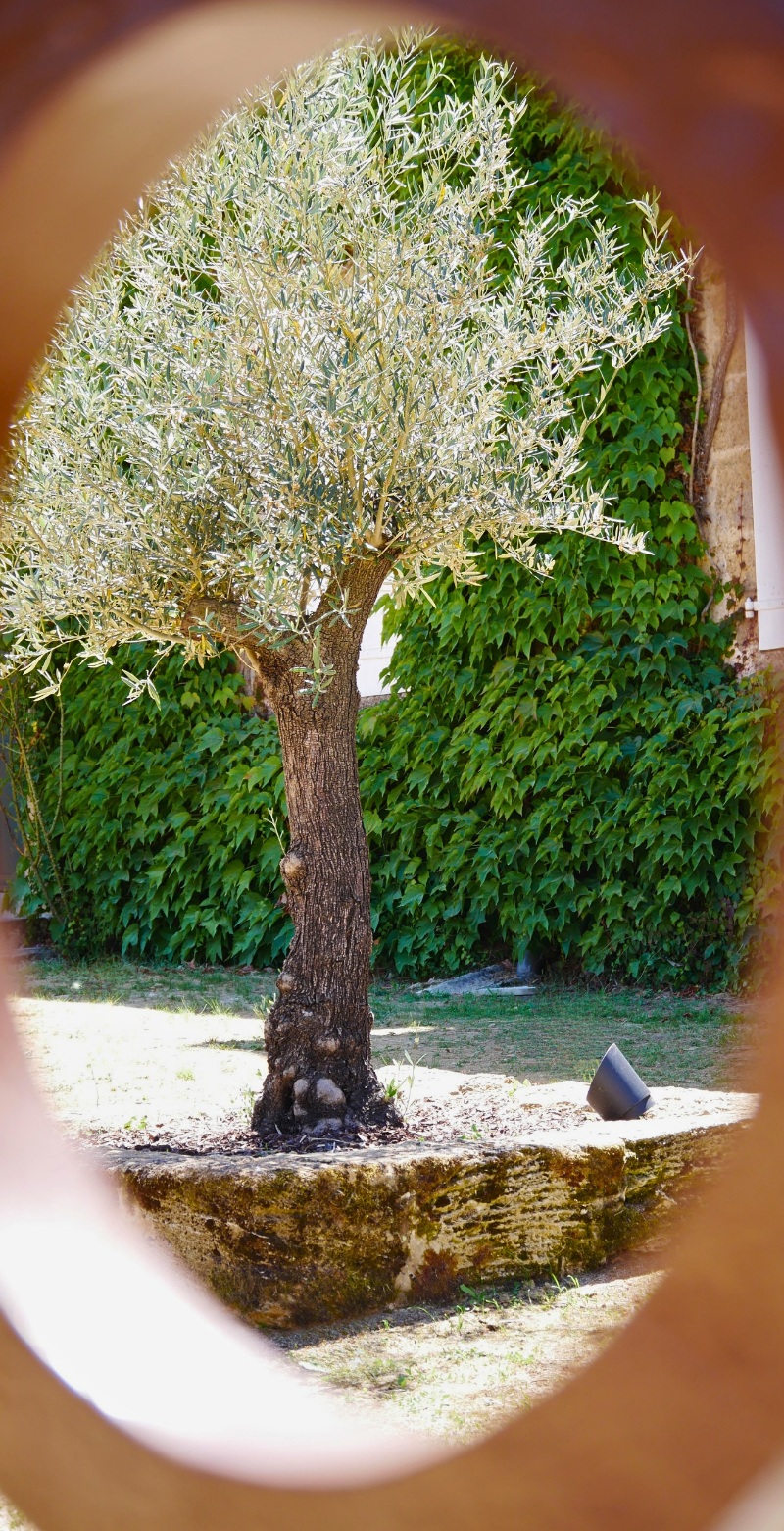 photo5